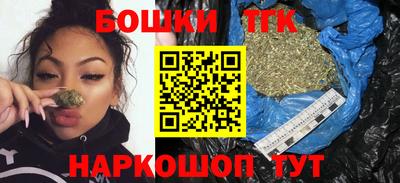 тгк Партизанск