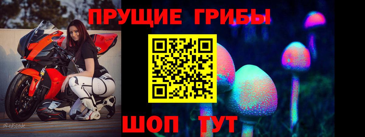 Сегежа  Галлюциногенные грибы прущие грибы  Вход с VPN 